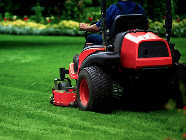 Riding Mower のフォークリフト充電器